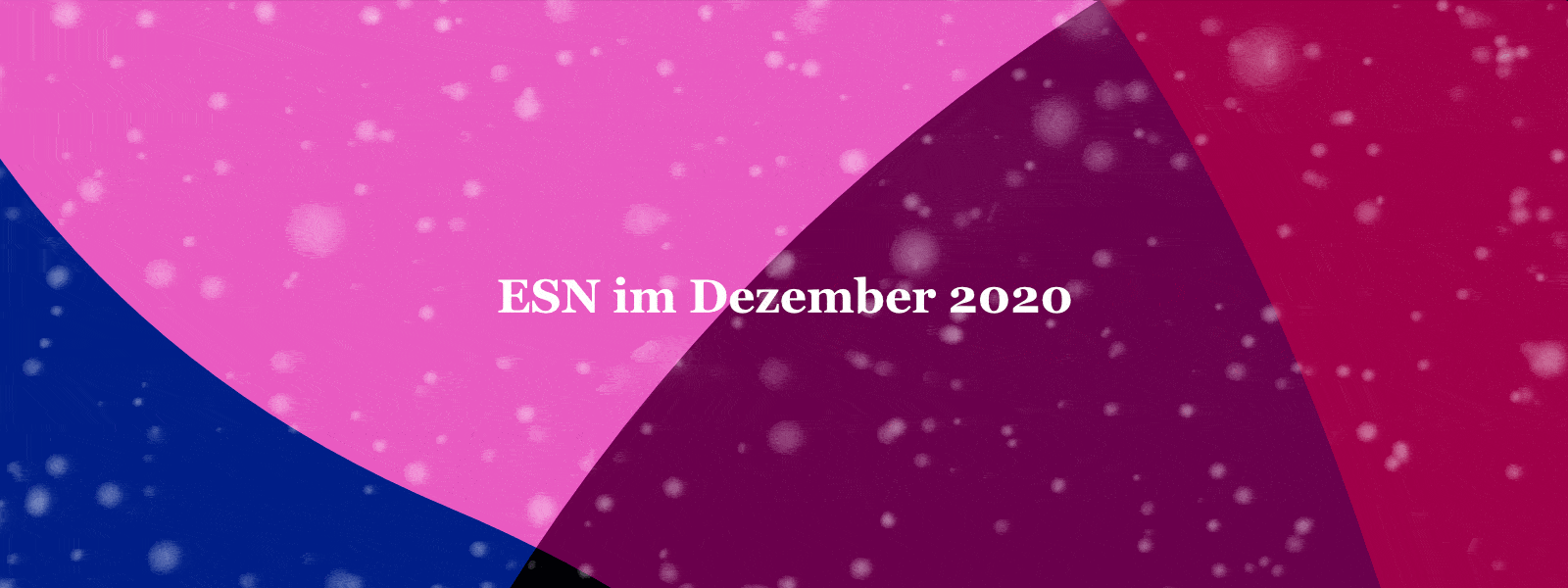 ESN im Dezember Newsletter web 2